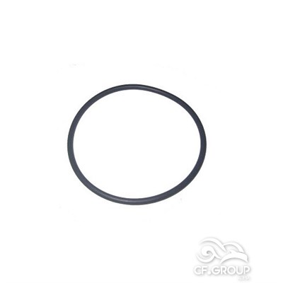 O-Ring za Aqua Maxi